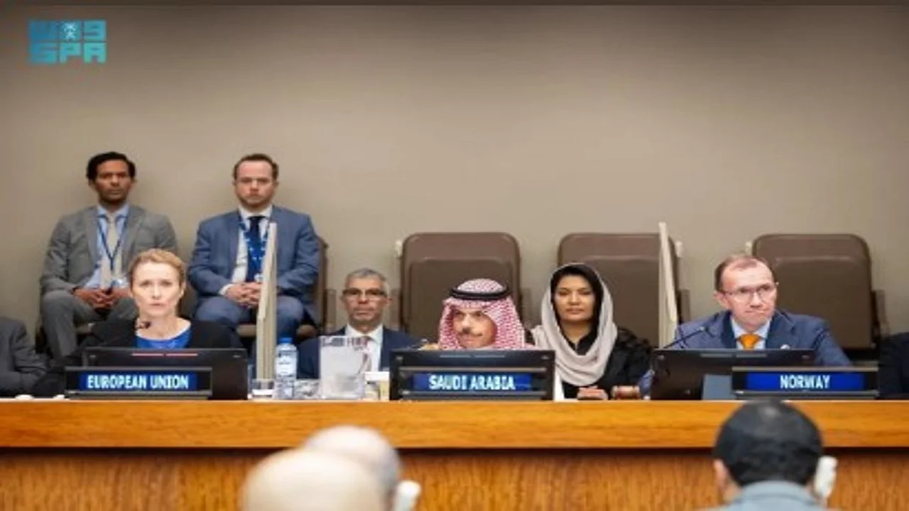 حل الدولتين.. تحرك دولي جديد بقيادة وزير الخارجية في اجتماع وزاري حاسم